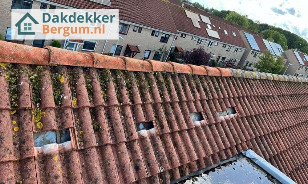 Een dakrenovatie bij oud pannendak Een dakrenovatie bij oud pannendak in Bergum